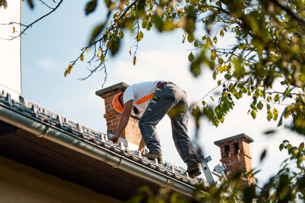 Best Roof Repair Services  in Shepherd, MI
