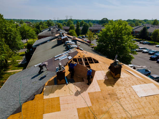Professional Roofing Contractor in Shepherd, MI