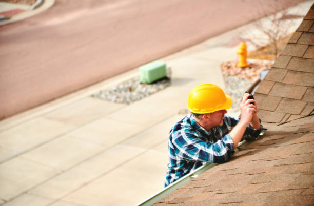 Best Flat Roof Repair Services  in Shepherd, MI