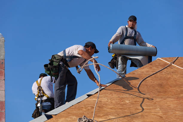 Best Commercial Roofing Services  in Shepherd, MI