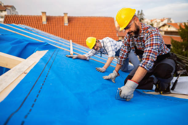 Best Roof Restoration Services  in Shepherd, MI