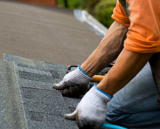 Quick and Trustworthy Emergency Roof Repair Services in Shepherd, MI
