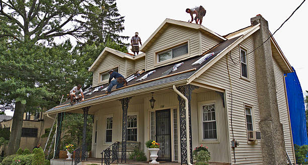 Best New Roof Installation  in Shepherd, MI